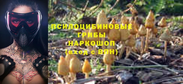 марки nbome Ельня