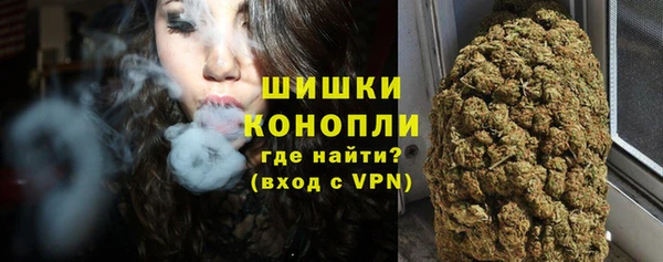 ГАЛЛЮЦИНОГЕННЫЕ ГРИБЫ Балахна