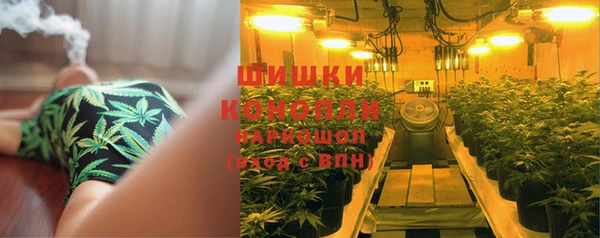 ГАЛЛЮЦИНОГЕННЫЕ ГРИБЫ Балахна