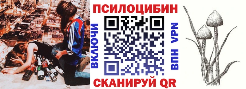 Псилоцибиновые грибы GOLDEN TEACHER  закладка  Невель 